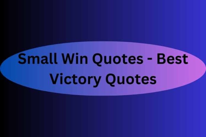 Small Win Quotes